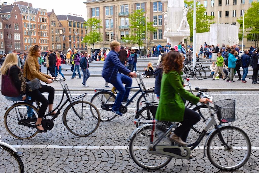 Velosiped samoe lyubimoe sredstvo peredvizheniya v Niderlandakh